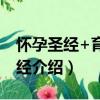 懷孕圣經+育兒圣經（關于懷孕圣經+育兒圣經介紹）