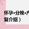 懷孕·分娩·產后恢復（關于懷孕·分娩·產后恢復介紹）