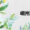 岷州志（關于岷州志簡介）