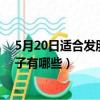 5月20日適合發朋友圈的句子（5月20日適合發朋友圈的句子有哪些）