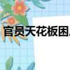 官員天花板困局（關于官員天花板困局介紹）