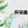 懷宋庸庵（關于懷宋庸庵介紹）