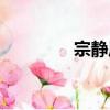 宗靜風（關于宗靜風介紹）