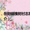 岳陽鎮槐樹村志愿者團隊（關于岳陽鎮槐樹村志愿者團隊簡介）