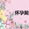 懷孕契約（關于懷孕契約介紹）