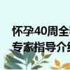 懷孕40周全程專家指導（關于懷孕40周全程專家指導介紹）