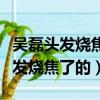 吳磊頭發燒焦了是怎么回事（吳磊是怎么把頭發燒焦了的）