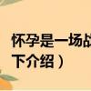懷孕是一場戰斗上下（關于懷孕是一場戰斗上下介紹）