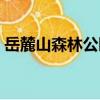 岳麓山森林公園（關于岳麓山森林公園簡介）