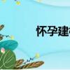 懷孕建檔（關于懷孕建檔介紹）