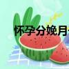 懷孕分娩月子（關于懷孕分娩月子介紹）