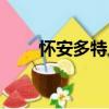 懷安多特人（關于懷安多特人介紹）