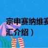 宗申賽納維賽納峰匯（關于宗申賽納維賽納峰匯介紹）