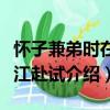 懷子兼弟時在寧江赴試（關于懷子兼弟時在寧江赴試介紹）