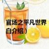 官場之平凡世界：天蒼地白（關于官場之平凡世界：天蒼地白介紹）