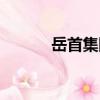 岳首集團（關于岳首集團簡介）