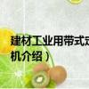 建材工業用帶式定量給料機（關于建材工業用帶式定量給料機介紹）