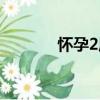 懷孕2周（關于懷孕2周介紹）