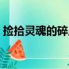 撿拾靈魂的碎片（關于撿拾靈魂的碎片簡介）
