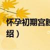 懷孕初期宮腔積液（關于懷孕初期宮腔積液介紹）