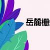 岳麓柵蛛（關于岳麓柵蛛簡介）