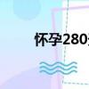 懷孕280天（關于懷孕280天介紹）