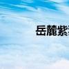 岳麓紫菀（關于岳麓紫菀簡介）