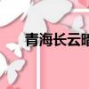 青海長云暗雪山的下一句（出自哪里）