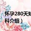 懷孕280天知識百科（關于懷孕280天知識百科介紹）