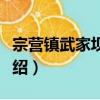 宗營鎮武家壩小學（關于宗營鎮武家壩小學介紹）