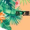 岳飛墨寶（關于岳飛墨寶簡介）