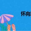 懷向軍（關于懷向軍介紹）