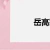 岳高寨（關于岳高寨簡介）