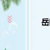 岳鵠（關于岳鵠簡介）