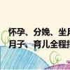 懷孕、分娩、坐月子、育兒全程指導（關于懷孕、分娩、坐月子、育兒全程指導介紹）