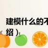 建模什么的不干啦（關于建模什么的不干啦介紹）