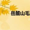 岳麓山毛蕨（關于岳麓山毛蕨簡介）