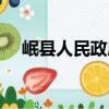 岷縣人民政府（關于岷縣人民政府簡介）