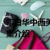 宗白華中西美學論集（關于宗白華中西美學論集介紹）