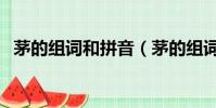 茅的組詞和拼音(茅的組詞和拼音是什么)