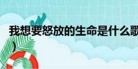 我想要怒放的生命是什么歌(這里有完整歌詞)