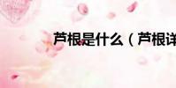 蘆根是什么(蘆根詳細介紹)