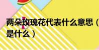 兩朵玫瑰花代表什么意思(兩朵玫瑰花的意思是什么)