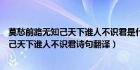 莫愁前路無知己天下誰人不識君是什么意思(莫愁前路無知己天下誰人不識君詩句翻譯)