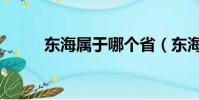 東海屬于哪個省(東海城市簡介)