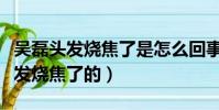 吳磊頭發燒焦了是怎么回事(吳磊是怎么把頭發燒焦了的)