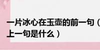 一片冰心在玉壺的前一句(一片冰心在玉壺的上一句是什么)