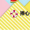 捧心學（關于捧心學簡介）