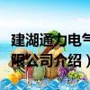 建湖通力電氣有限公司（關于建湖通力電氣有限公司介紹）