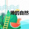 捧的自然村（關于捧的自然村簡介）